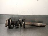 Front shock absorber with coil spring
