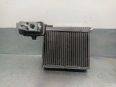 Air conditioning (A/C) air dryer