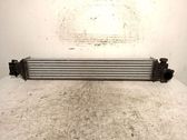 Intercooler radiator