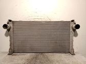 Intercooler radiator