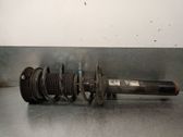Amortiguador delantero con muelle espiral