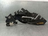 Tailgate/trunk/boot hinge