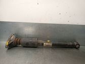 Stoßdämpfer hinten