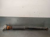 Rear shock absorber/damper