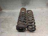 Front coil spring