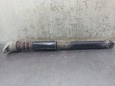 Rear shock absorber/damper