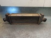 Radiador intercooler