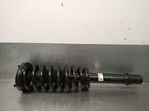 Front shock absorber with coil spring