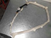 Airbag de la puerta delantera
