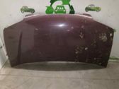 Motorhaube