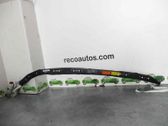 Front door airbag