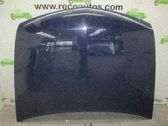 Motorhaube