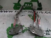 Bisagras del capó/tapa del motor