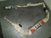 Front door airbag