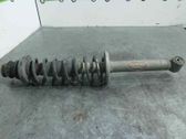 Stoßdämpfer hinten