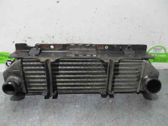 Radiador intercooler