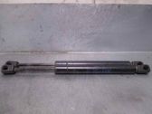 Tailgate/trunk strut/damper