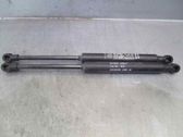 Tailgate/trunk strut/damper