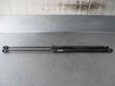 Tailgate/trunk strut/damper
