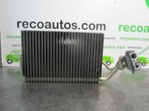 Air conditioning (A/C) air dryer