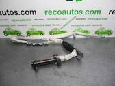 Airbag de la puerta delantera