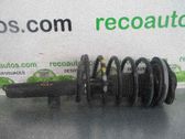 Amortiguador delantero con muelle espiral