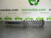 Rear shock absorber/damper