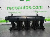 Colector de admisión