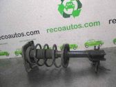 Amortiguador delantero con muelle espiral