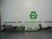 Windshield trim