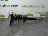 Amortiguador delantero con muelle espiral