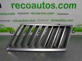 Rejilla delantera