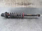 Stoßdämpfer hinten