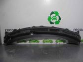 Windshield trim