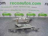 Bisagras del capó/tapa del motor