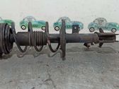 Front shock absorber with coil spring