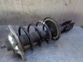 Amortiguador delantero con muelle espiral