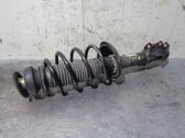 Front shock absorber with coil spring