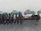 Amortiguador delantero con muelle espiral