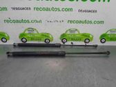Tailgate/trunk strut/damper