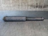 Rear shock absorber/damper