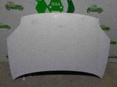 Motorhaube