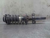 Front shock absorber with coil spring