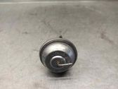 EGR vārsts