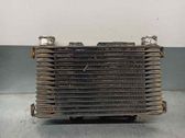 Radiador intercooler