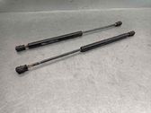 Tailgate/trunk strut/damper