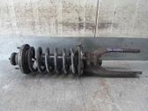 Amortiguador delantero con muelle espiral