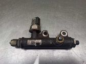 MONO injection