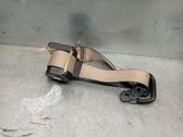Cinturón trasero