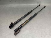 Tailgate/trunk strut/damper